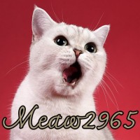 แมวเบอร์มงคล(meaw2965)
